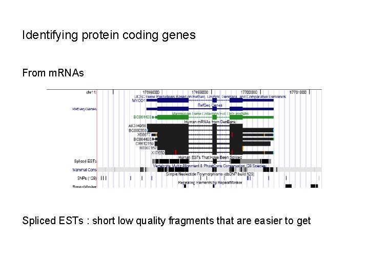 Identifying protein coding genes From m. RNAs Spliced ESTs : short low quality fragments