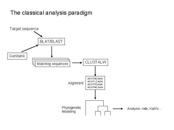 The classical analysis paradigm Target sequence BLAT/BLAST Genbank CLUSTALW Matching sequences Alignment Phylogenetic Modeling