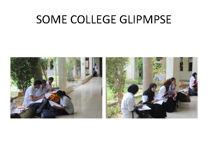 SOME COLLEGE GLIPMPSE 