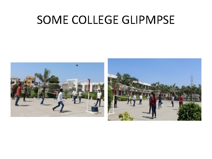 SOME COLLEGE GLIPMPSE 