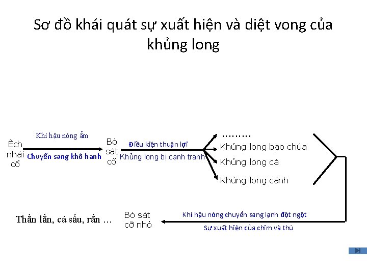 Sơ đồ khái quát sự xuất hiện và diệt vong của khủng long Khí