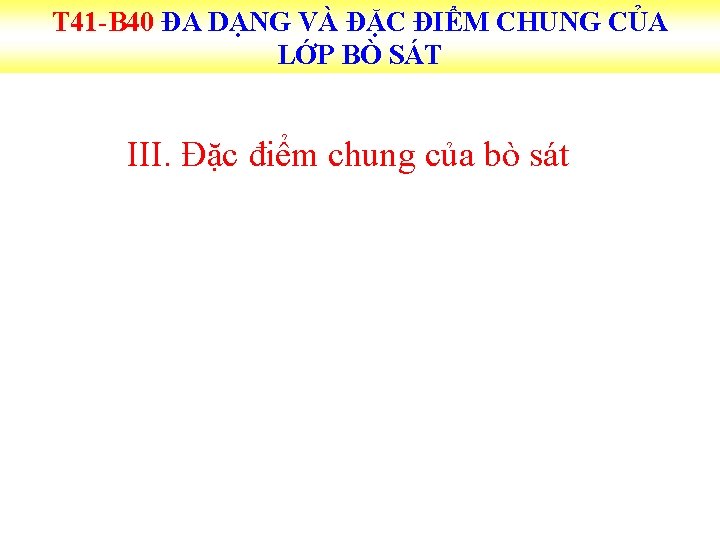 T 41 -B 40 ĐA DẠNG VÀ ĐẶC ĐIỂM CHUNG CỦA LỚP BÒ SÁT