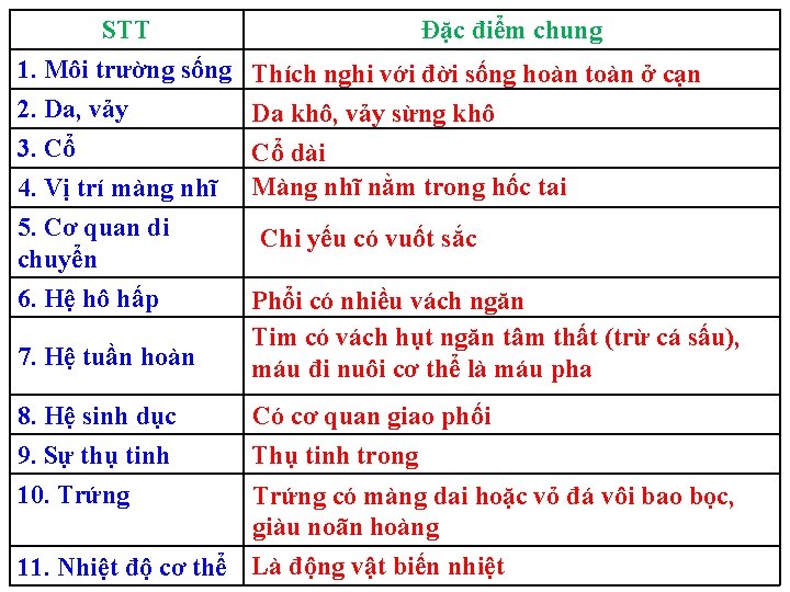 STT 1. Môi trường sống 2. Da, vảy 3. Cổ 4. Vị trí màng