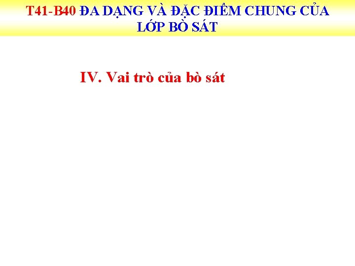 T 41 -B 40 ĐA DẠNG VÀ ĐẶC ĐIỂM CHUNG CỦA LỚP BÒ SÁT