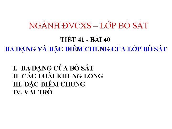 NGÀNH ĐVCXS – LỚP BÒ SÁT TIẾT 41 - BÀI 40 ĐA DẠNG VÀ