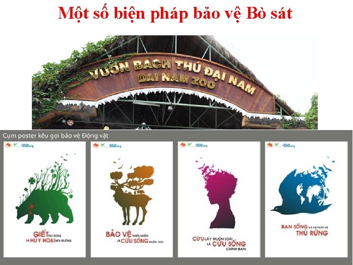 Một số biện pháp bảo vệ Bò sát 