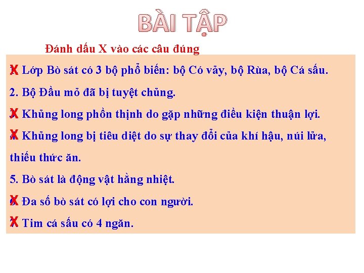 BÀI TẬP Đánh dấu X vào các câu đúng 1. Lớp Bò sát có