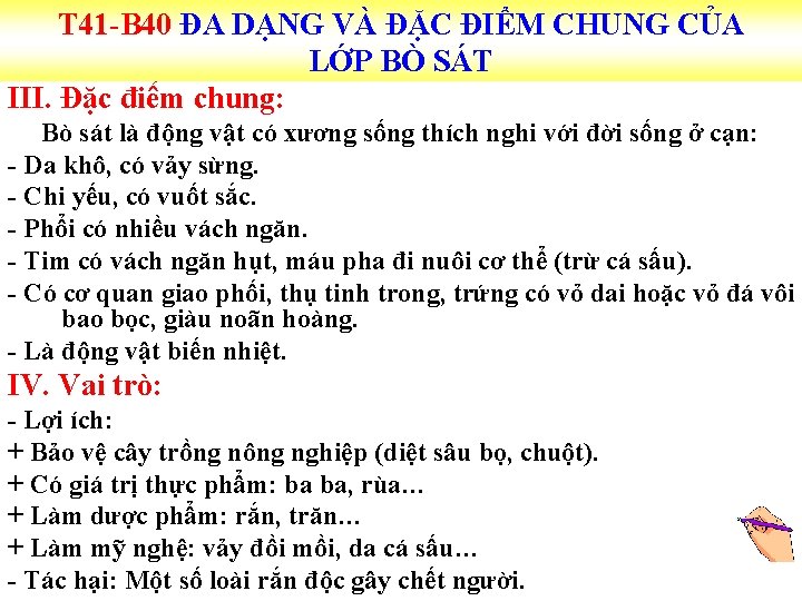 T 41 -B 40 ĐA DẠNG VÀ ĐẶC ĐIỂM CHUNG CỦA LỚP BÒ SÁT