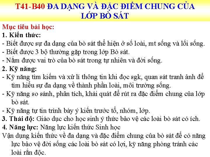 T 41 -B 40 ĐA DẠNG VÀ ĐẶC ĐIỂM CHUNG CỦA LỚP BÒ SÁT