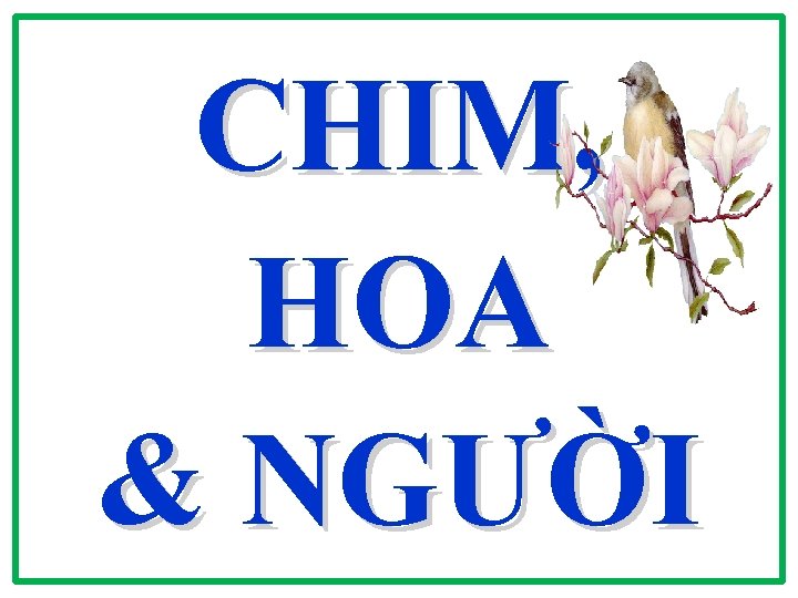 CHIM, HOA & NGƯỜI CHIM, HOA & NGƯỜI