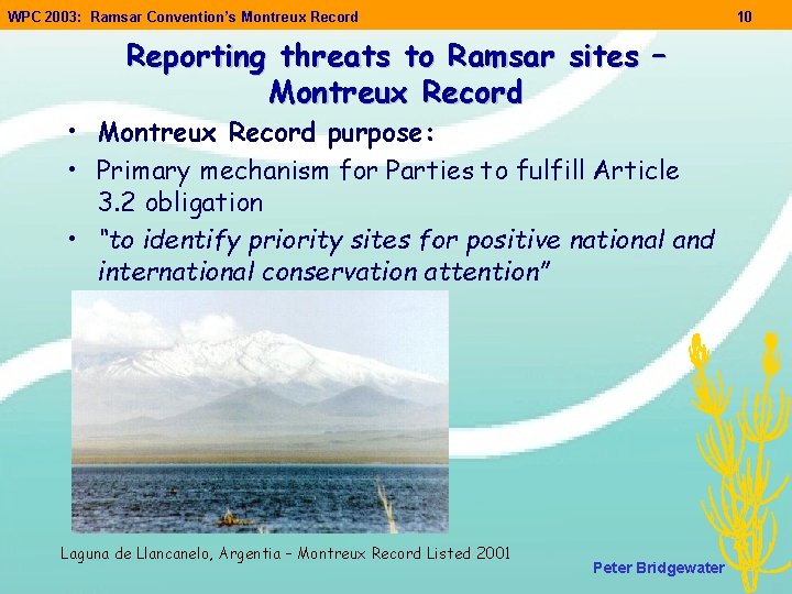 WPC 2003: Ramsar Convention’s Montreux Record 10 Reporting threats to Ramsar sites – Montreux WPC 2003: Ramsar Convention’s Montreux Record 10 Reporting threats to Ramsar sites – Montreux