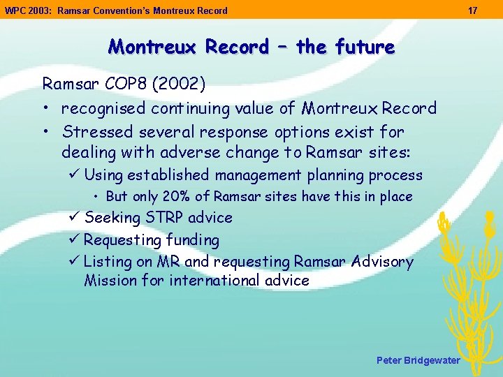 WPC 2003: Ramsar Convention’s Montreux Record 17 Montreux Record – the future Ramsar COP WPC 2003: Ramsar Convention’s Montreux Record 17 Montreux Record – the future Ramsar COP