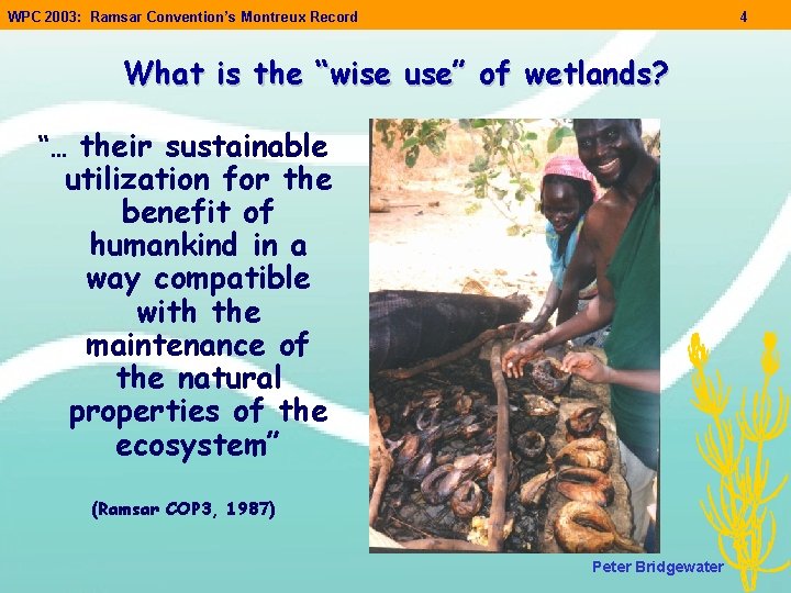 WPC 2003: Ramsar Convention’s Montreux Record 4 What is the “wise use” of wetlands? WPC 2003: Ramsar Convention’s Montreux Record 4 What is the “wise use” of wetlands?