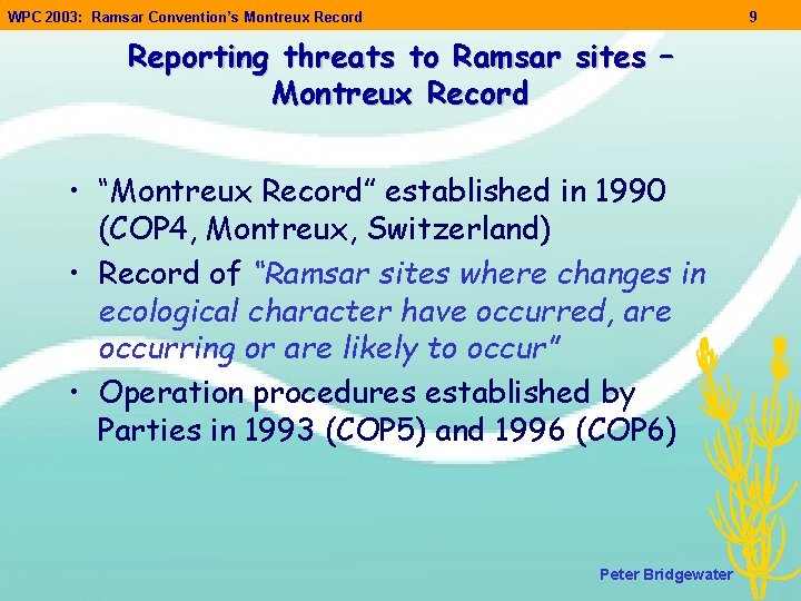 WPC 2003: Ramsar Convention’s Montreux Record 9 Reporting threats to Ramsar sites – Montreux WPC 2003: Ramsar Convention’s Montreux Record 9 Reporting threats to Ramsar sites – Montreux
