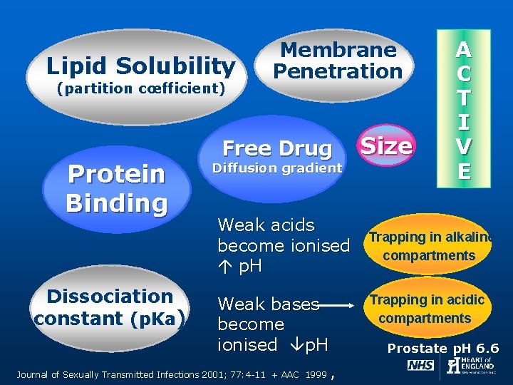Lipid Solubility (partition cœfficient) Protein Binding Dissociation constant (p. Ka) Membrane Penetration Free Drug