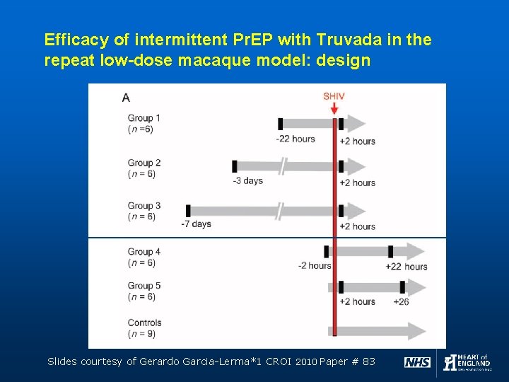 Efficacy of intermittent Pr. EP with Truvada in the repeat low-dose macaque model: design