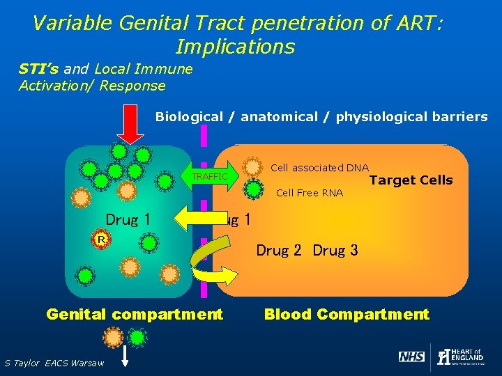 Variable Genital Tract penetration of ART: Implications STI’s and Local Immune Activation/ Response Biological