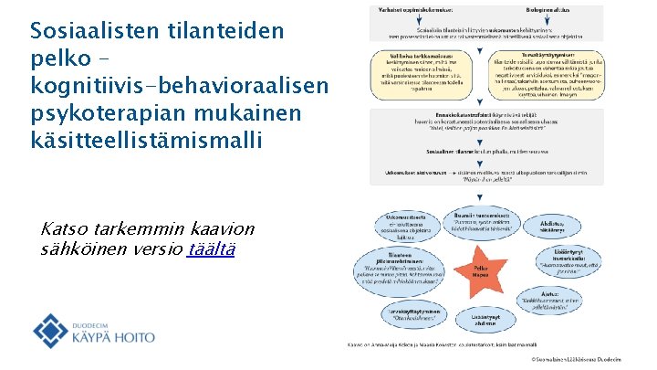 Sosiaalisten tilanteiden pelko – kognitiivis-behavioraalisen psykoterapian mukainen käsitteellistämismalli Katso tarkemmin kaavion sähköinen versio täältä