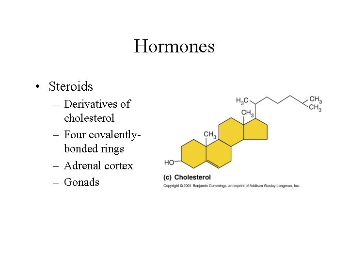 Hormones • Steroids – Derivatives of cholesterol – Four covalentlybonded rings – Adrenal cortex