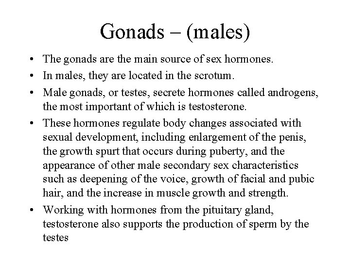 Gonads – (males) • The gonads are the main source of sex hormones. •