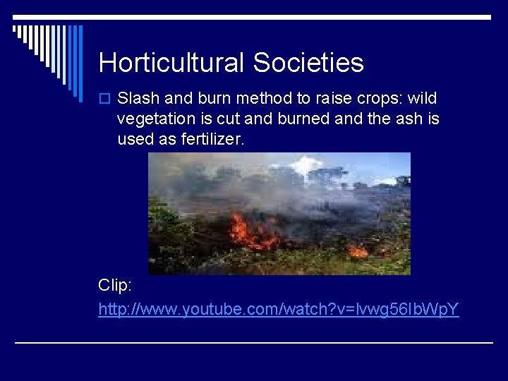 Horticultural Societies o Slash and burn method to raise crops: wild vegetation is cut