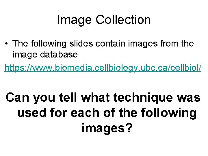 Image Collection • The following slides contain images from the image database https: //www.