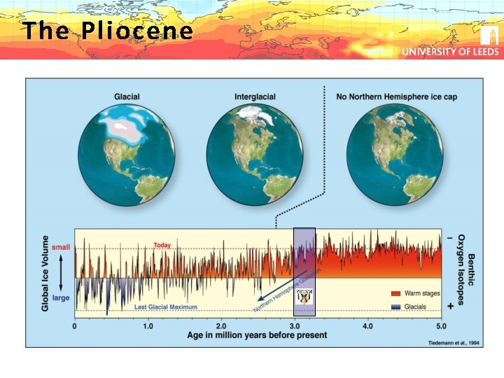 The Pliocene 