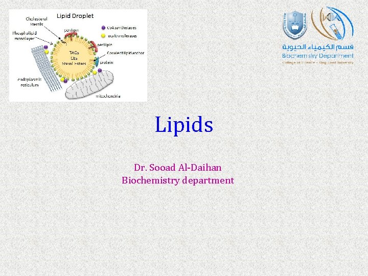 Lipids Dr. Sooad Al-Daihan Biochemistry department 