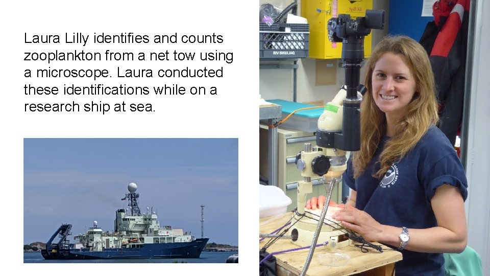 Laura Lilly identifies and counts zooplankton from a net tow using a microscope. Laura