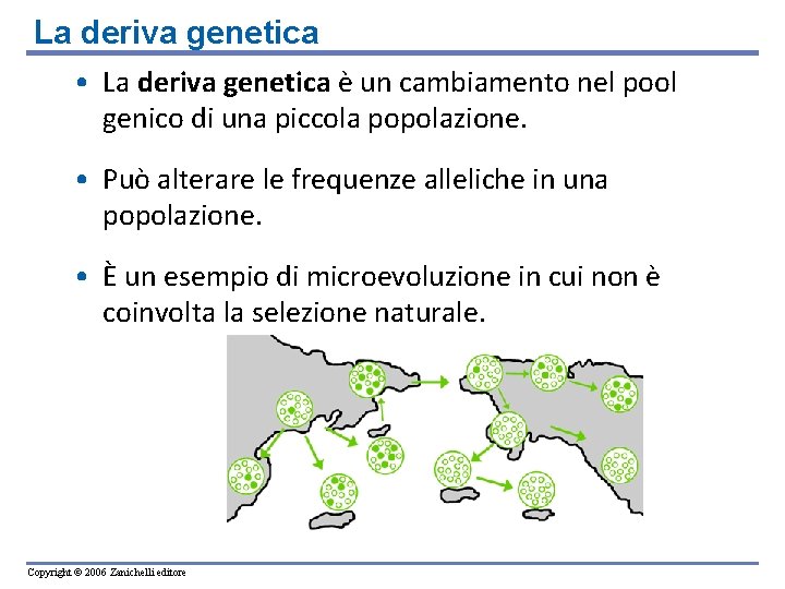 La deriva genetica • La deriva genetica è un cambiamento nel pool genico di La deriva genetica • La deriva genetica è un cambiamento nel pool genico di