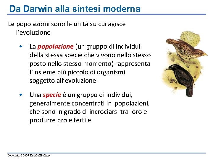 Da Darwin alla sintesi moderna Le popolazioni sono le unità su cui agisce l’evoluzione Da Darwin alla sintesi moderna Le popolazioni sono le unità su cui agisce l’evoluzione