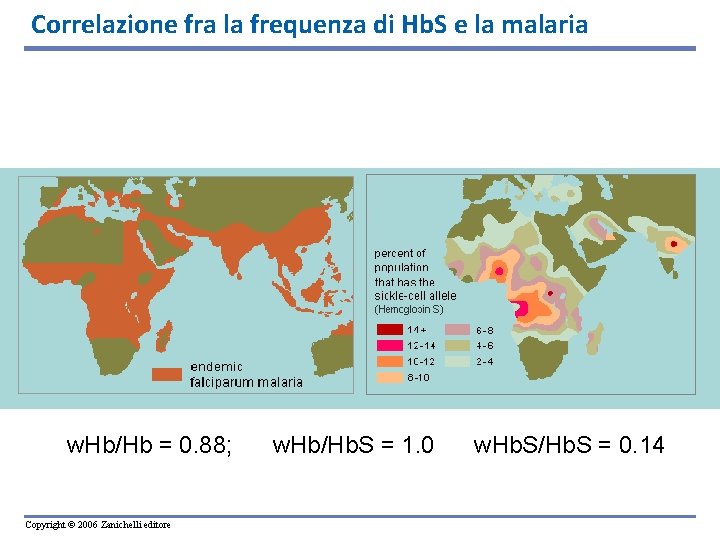 Correlazione fra la frequenza di Hb. S e la malaria w. Hb/Hb = 0. Correlazione fra la frequenza di Hb. S e la malaria w. Hb/Hb = 0.
