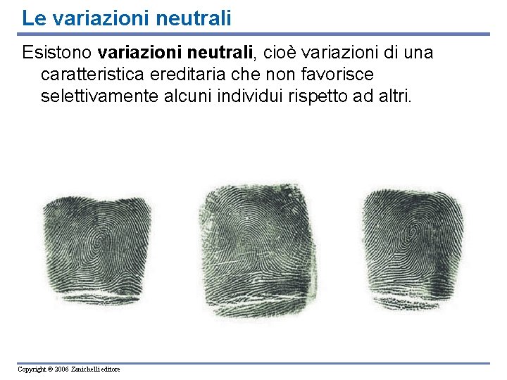 Le variazioni neutrali Esistono variazioni neutrali, cioè variazioni di una caratteristica ereditaria che non Le variazioni neutrali Esistono variazioni neutrali, cioè variazioni di una caratteristica ereditaria che non