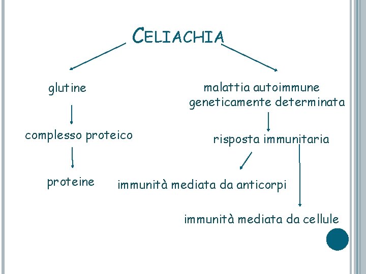 CELIACHIA malattia autoimmune geneticamente determinata glutine complesso proteico proteine risposta immunitaria immunità mediata da