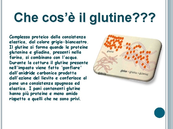 Che cos’è il glutine? ? ? Complesso proteico dalla consistenza elastica, dal colore grigio-biancastro.