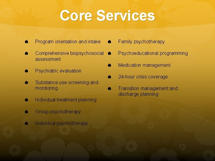 Core Services Program orientation and intake Comprehensive biopsychosocial assessment Family psychotherapy Psychoeducational programming Medication