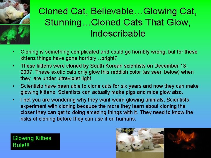 Cloned Cat, Believable…Glowing Cat, Stunning…Cloned Cats That Glow, Indescribable • • Cloning is something