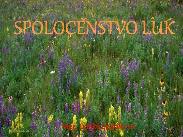 SPOLOČENSTVO LÚK 5. 3. 2021 20: 23 Mgr. Danka Spišáková 