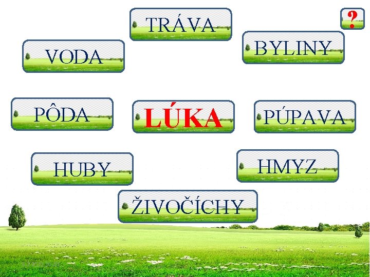 ? TRÁVA BYLINY VODA PÔDA LÚKA HMYZ HUBY ŽIVOČÍCHY 5. 3. 2021 20: 23
