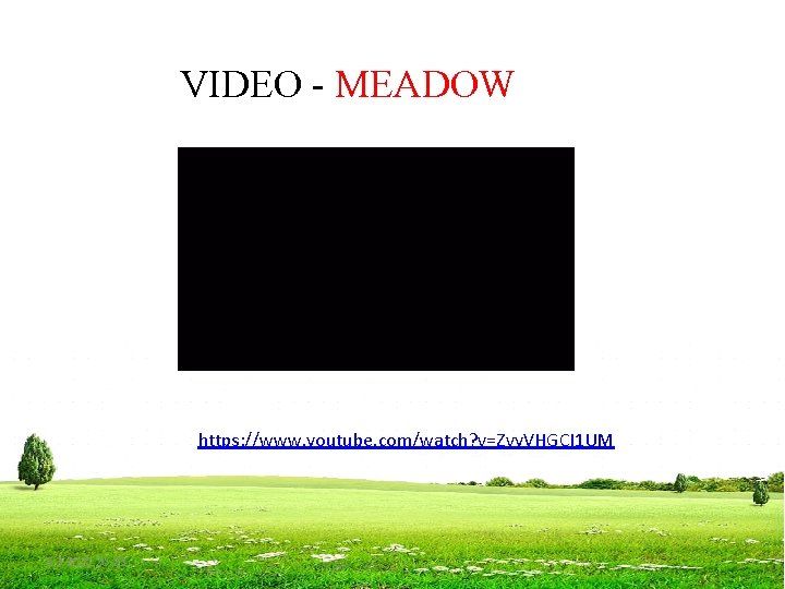 VIDEO - MEADOW https: //www. youtube. com/watch? v=Zvy. VHGCI 1 UM 5. 3. 2021