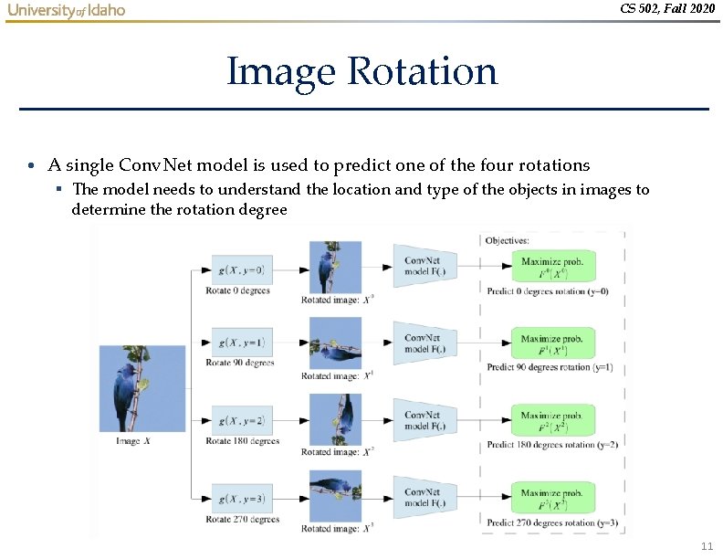 CS 502, Fall 2020 Image Rotation • A single Conv. Net model is used