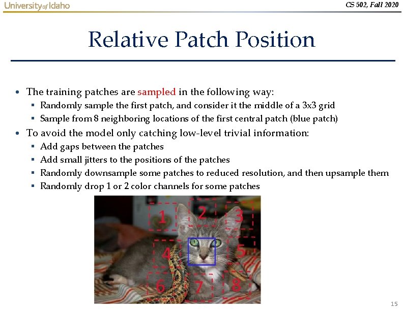 CS 502, Fall 2020 Relative Patch Position • The training patches are sampled in