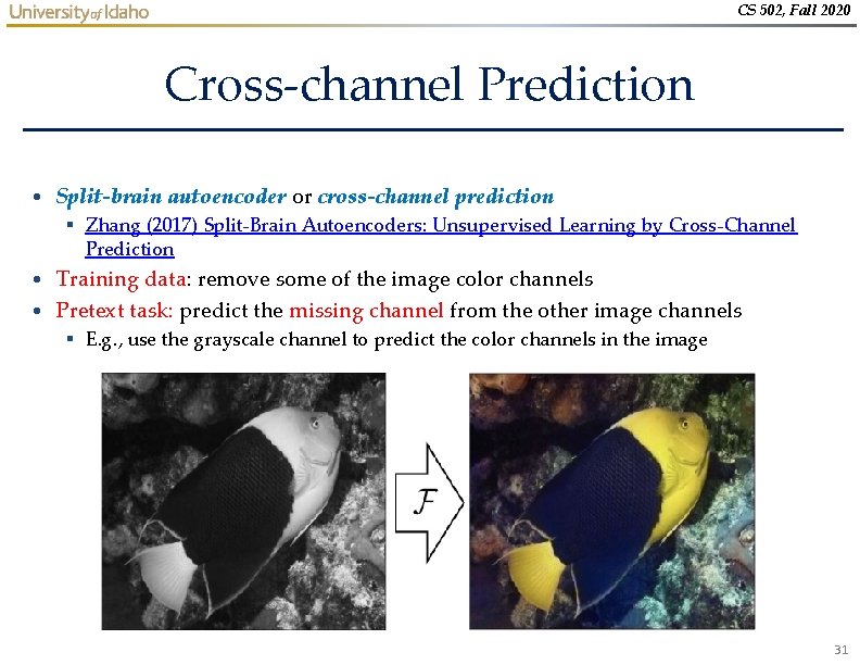 CS 502, Fall 2020 Cross-channel Prediction • Split-brain autoencoder or cross-channel prediction § Zhang