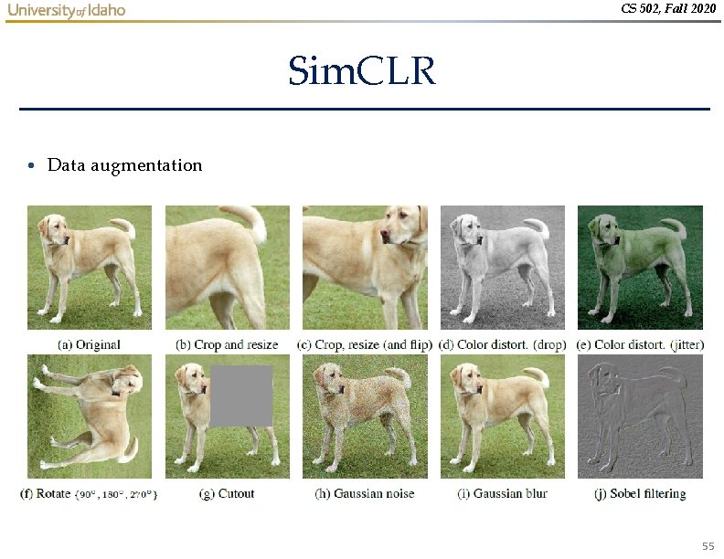 CS 502, Fall 2020 Sim. CLR • Data augmentation 55 