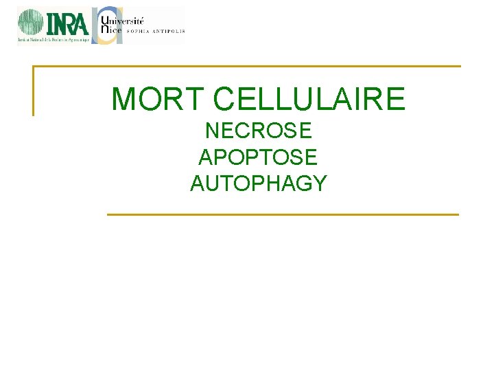 MORT CELLULAIRE NECROSE APOPTOSE AUTOPHAGY 