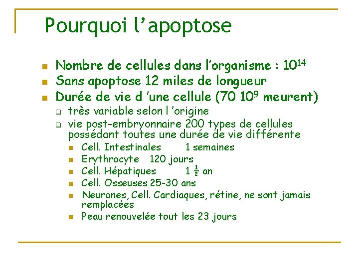 Pourquoi l’apoptose n n n Nombre de cellules dans l’organisme : 1014 Sans apoptose