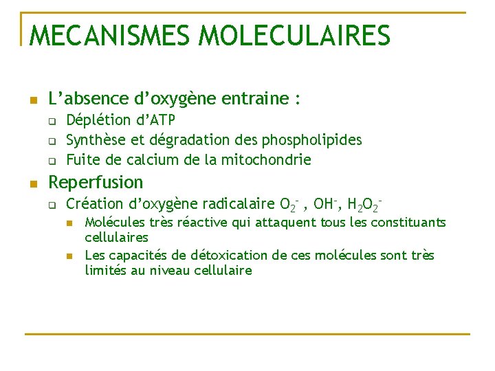 MECANISMES MOLECULAIRES n L’absence d’oxygène entraine : q q q n Déplétion d’ATP Synthèse