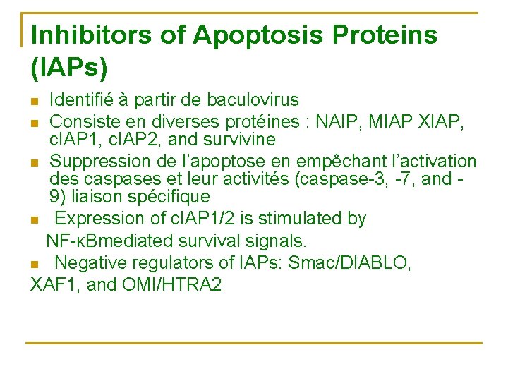 Inhibitors of Apoptosis Proteins (IAPs) Identifié à partir de baculovirus n Consiste en diverses