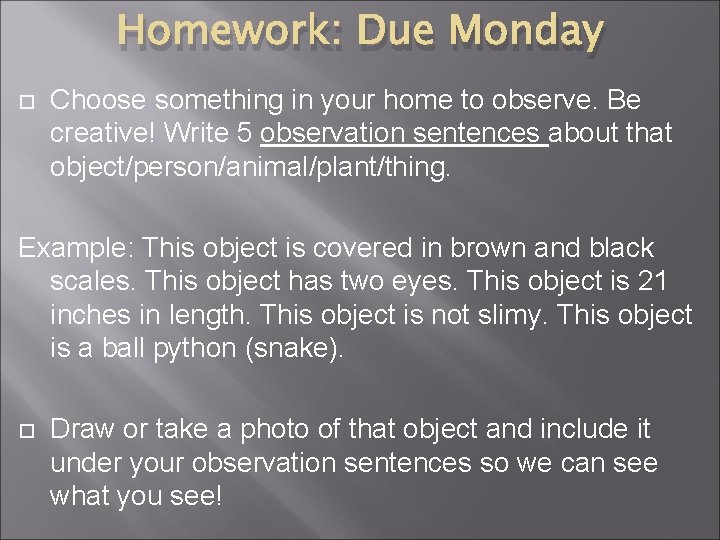 Homework: Due Monday Choose something in your home to observe. Be creative! Write 5