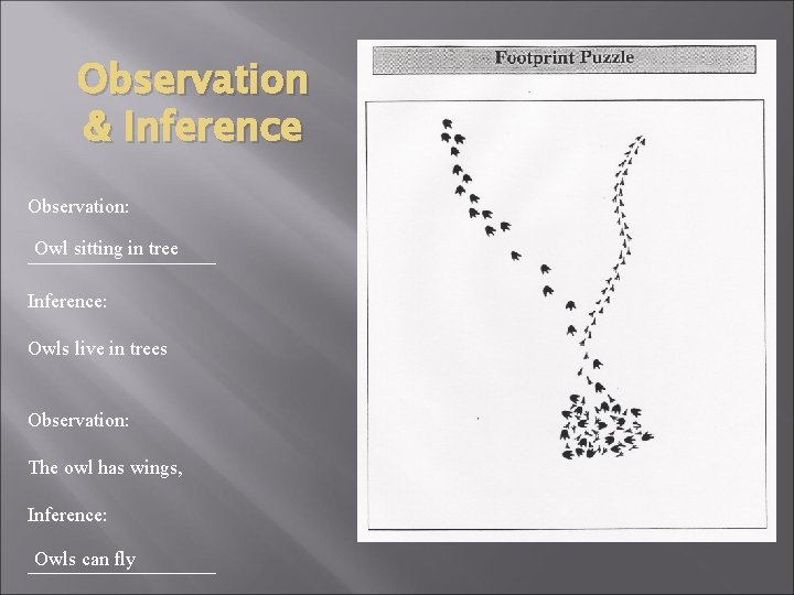 Observation & Inference Observation: Owl sitting in tree __________ Inference: Owls live in trees